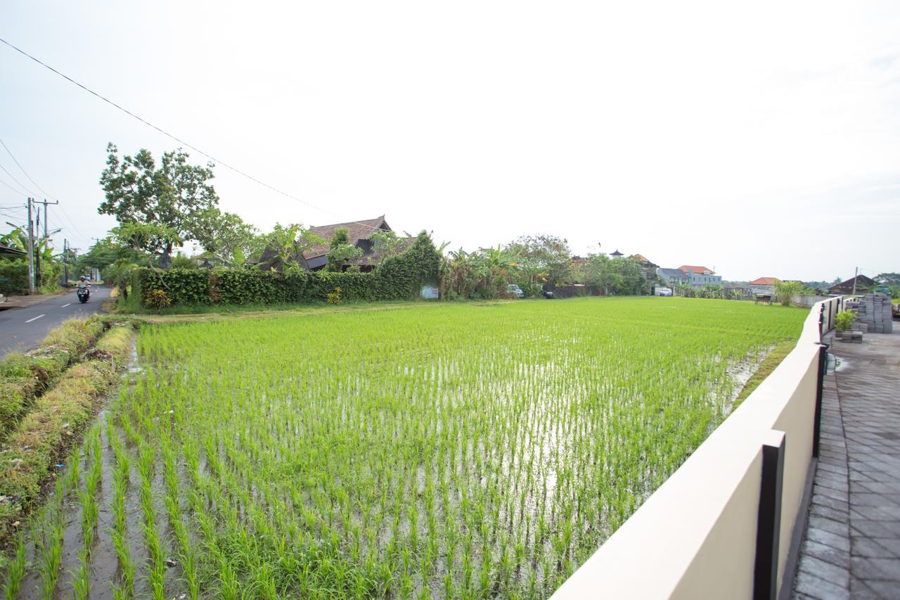 V Canggu Dormitory Dış mekan fotoğraf
